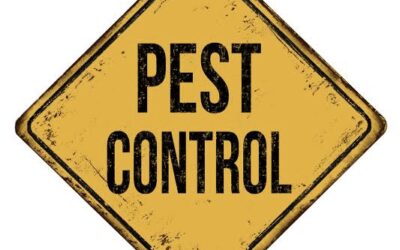 Night time pest control – 6/7 November